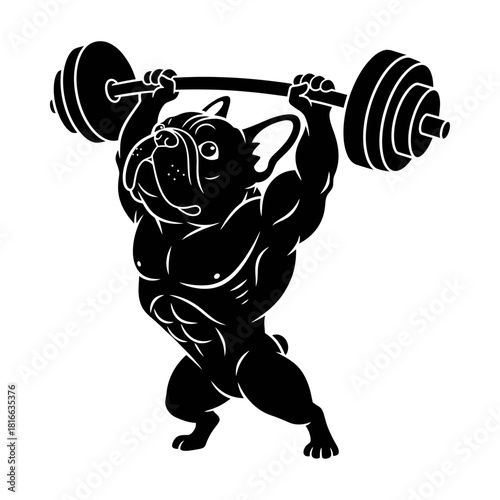 French bulldog lifting heavy barbell overhead strong muscular gym mascot silhouette vector design