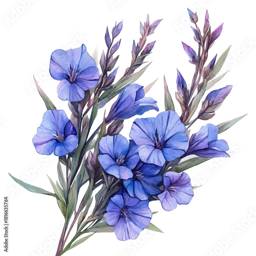 Wild Indigo Flower, watercolor painting vector, isolated on a white background.