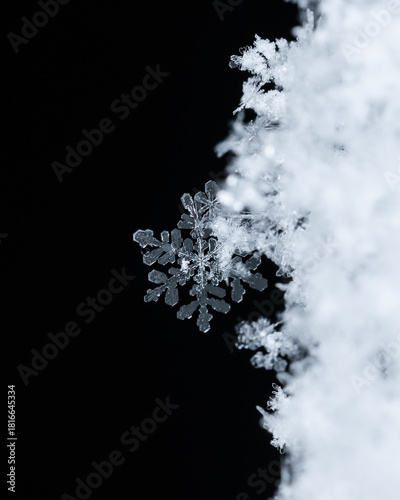 Macro snowflakes showing intricate winter details on dark background
