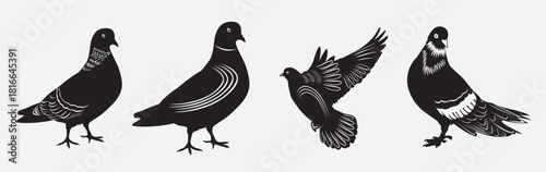 dove or pigeon silhouettes