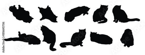  hand drawn fat cat vectors .