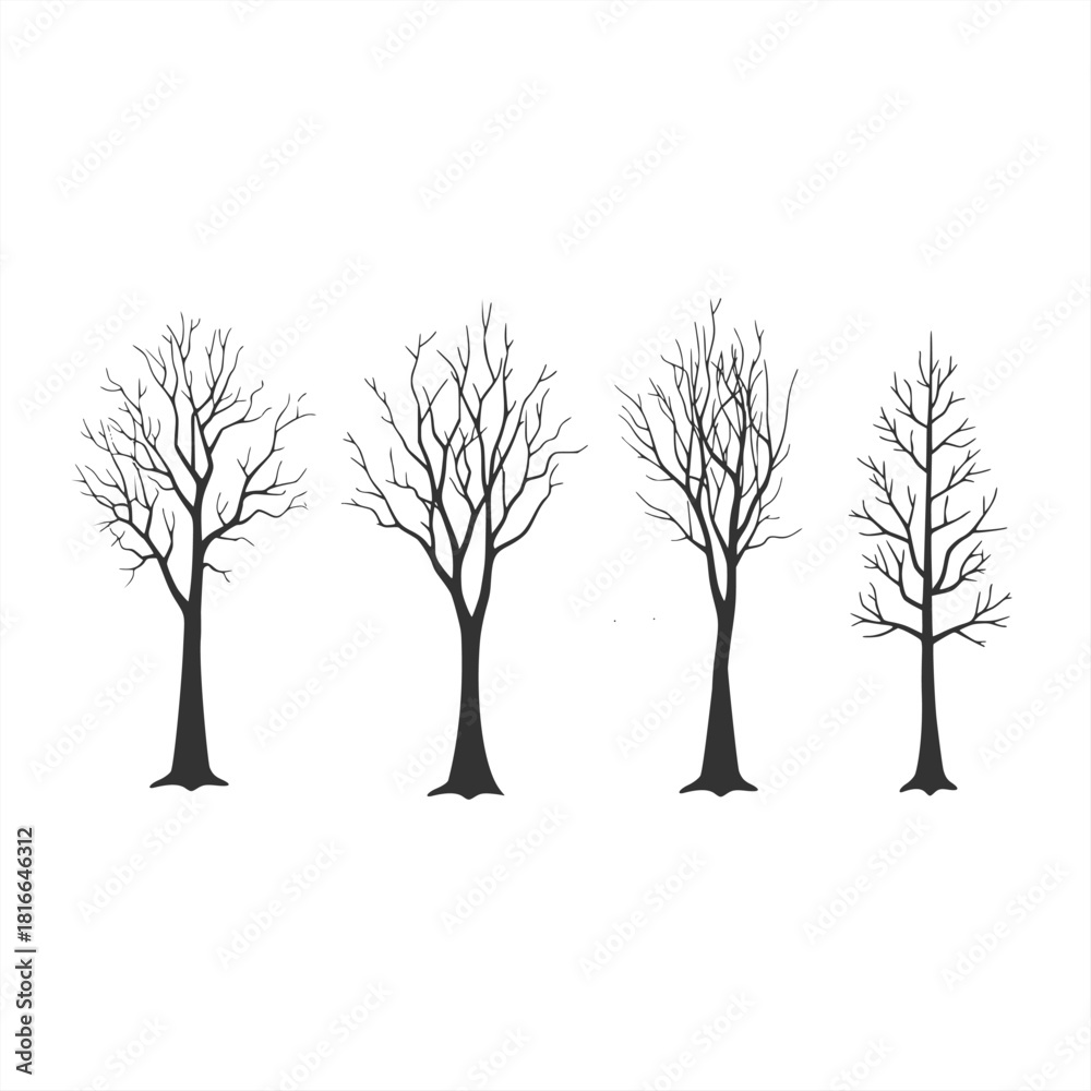Fototapeta premium Tree silhouette bundle vector editable including various bare branching styles suitable for nature illustration forest design botanical artwork winter graphics