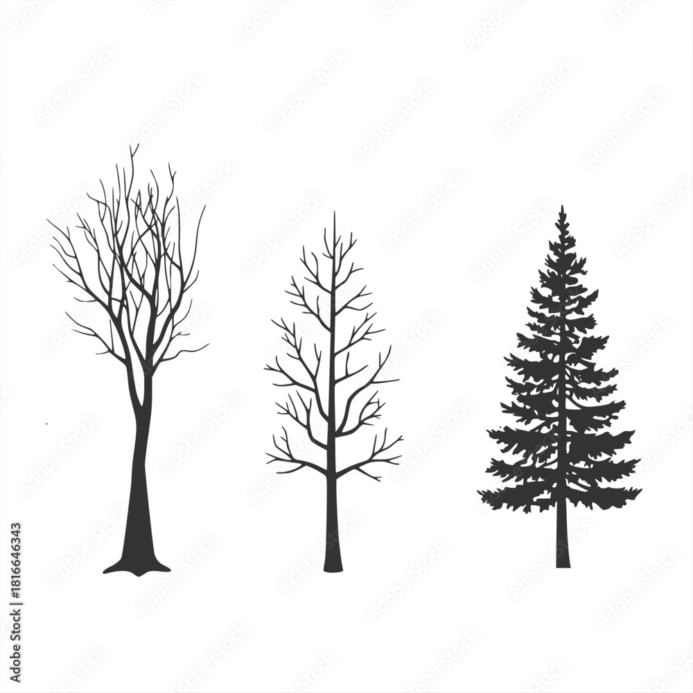 Obraz premium Bundle of bare tree silhouettes vector editable with multiple detailed branch structures ideal for landscape illustration nature artwork botanical concepts winter