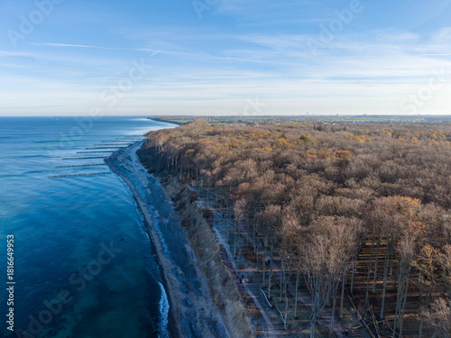 Fototapeta Naklejka Na Ścianę i Meble -  Aerial view of a winding shoreline where a dense forest of bare and golden trees meets the clear waters of the Baltic Sea under a soft blue sky