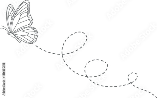 Elegant butterfly in flight leaving a delicate dotted trail behind