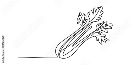 Continuous line art drawing of a fresh green celery stalk with vibrant leaves, representing healthy eating and organic vegetable concepts. Vector, illustration