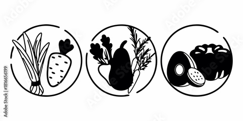 Three oval frames showcasing vegetables carrot leek eggplant herbs avocado and bell pepper in black and white