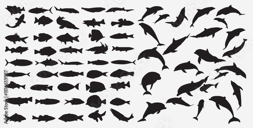 fishes silhouette set