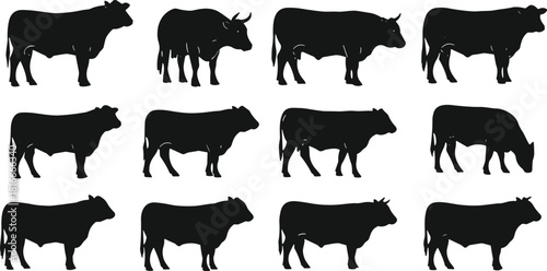 Set of cow silhouettes collection, farm cattle animal shapes for agriculture design, black vector illustrations, livestock graphic elements, cad drawing flat vector illustration