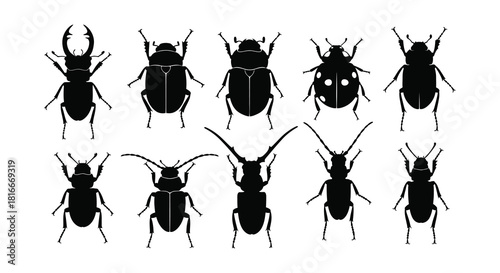 A collection of black silhouette beetles showcasing various species and forms
