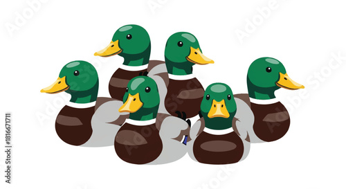 Whimsical flat 2D cartoon vector illustration featuring a group of vibrant male and female Mallard ducks standing together, isolated on a brilliant white backdrop.