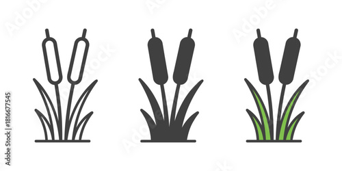 cattail plant icon. cattail reeds marsh plant water grass icon vector