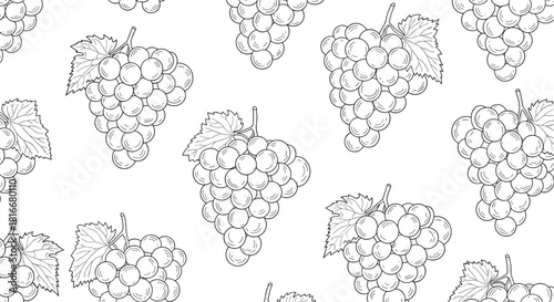 Seamless black and white pattern of hand-drawn grape bunches with leaves creating a simple elegant background for wine design.
