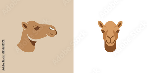 Modern vector camel head illustrations for desert-themed designs and exotic animal branding