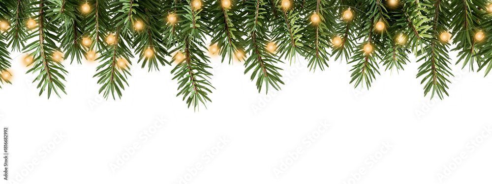 Obraz premium christmas tree branch with light isolated on white