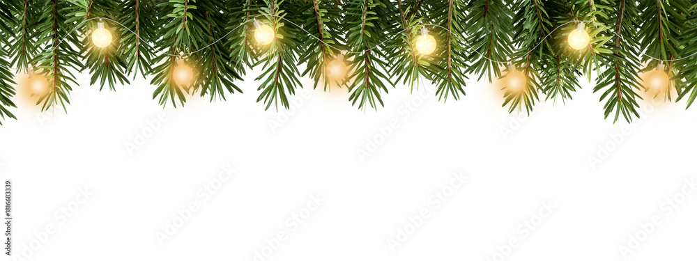 Obraz premium christmas background with fir branches isolated on white