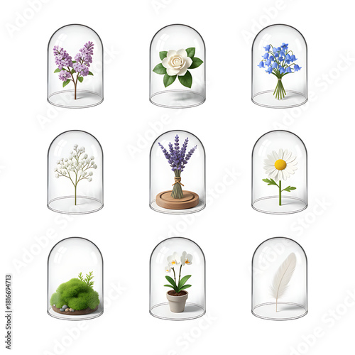 Collection of beautiful flowers and nature elements preserved under glass domes for display