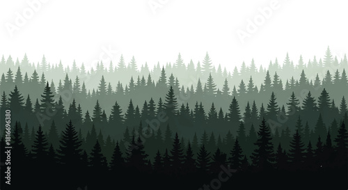 Dense forest silhouette vector illustration showing layered conifer trees and misty atmosphere isolated against a clean white backdrop.
