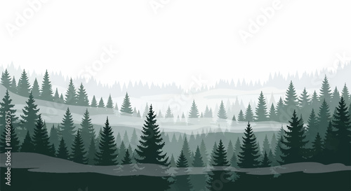 Mysterious flat 2D vector illustration depicting dark conifer silhouettes of an evergreen forest blanketed in atmospheric thick white fog on a clean, isolated background.