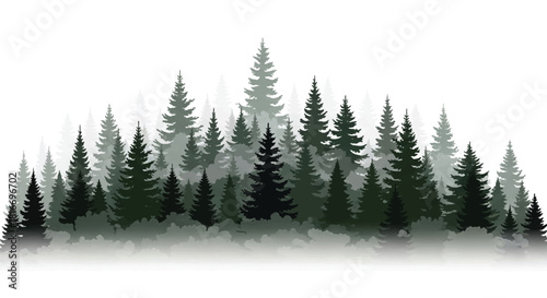 Flat 2D vector illustration of layered pine and spruce tree silhouettes forming a mysterious, dense foggy forest scene against a clean, plain white background.