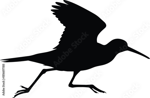 Black silhouette of running shorebird with raised wings, long beak sandpiper vector illustration, isolated on white background for coastal wildlife design.