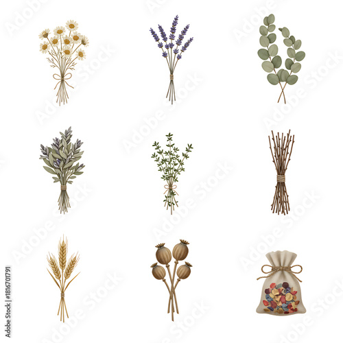 A botanical collection of illustrated dried herbs and flowers including lavender, chamomile, wheat, and poppy for rustic decor and aromatherapy