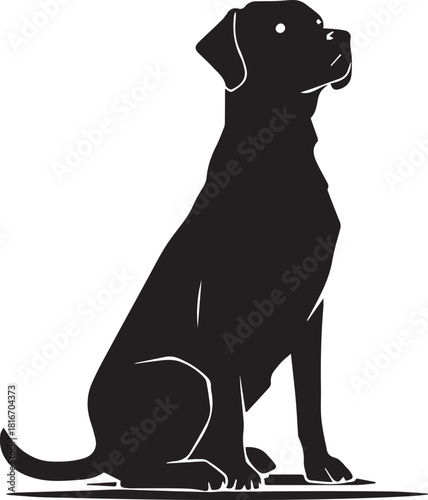 Silhouette of Canine Friend: A sleek, monochrome silhouette of a majestic dog, poised with alert posture, exuding an air of loyalty and composure.