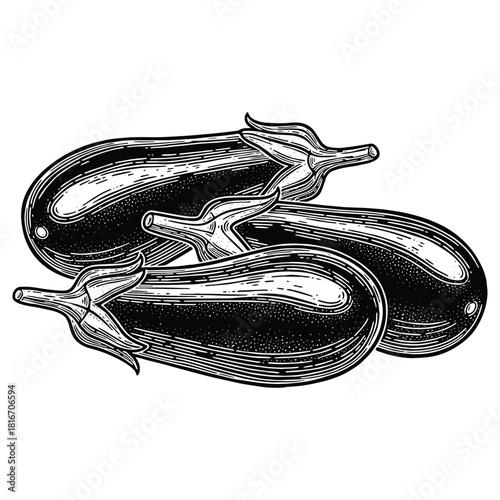 eggplant with detailed line art provides a nutritious and healthy food source illustration