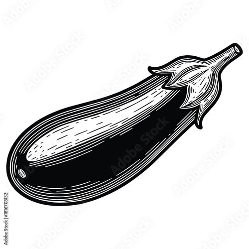 Vintage style eggplantillustration for healthy eating promotions or tropical fruit designs, so fresh and appealing