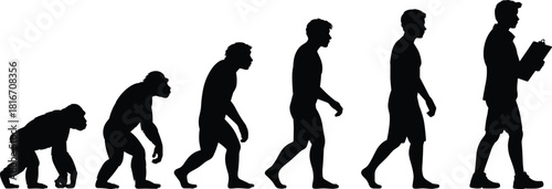 Evolution silhouette sequence from ape to modern human, walking progression illustration, evolutionary development concept graphic design