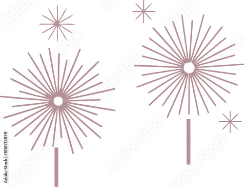 Brightly colored fireworks exploding against a white background