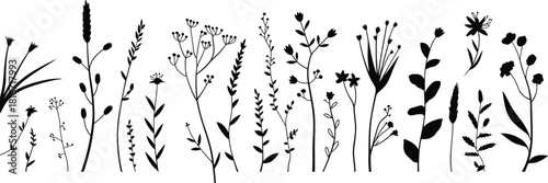 Diverse set of botanical silhouettes featuring wild herbs, meadow flowers, and delicate natural grass elements, perfect for elegant vector decoration and borders.