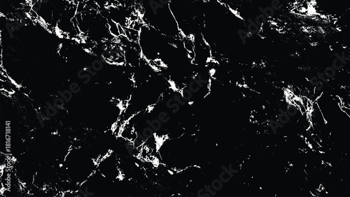 Abstract black and white marble texture with natural intricate veining pattern Vector, illustration