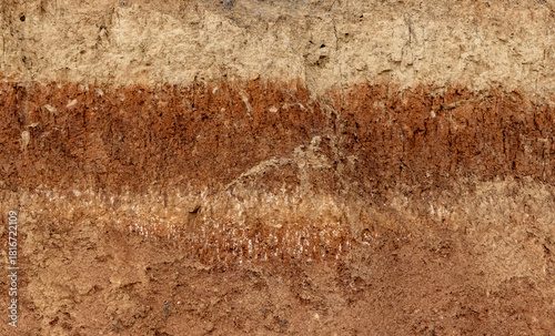 A soil profile, which is a vertical cross-section of the soil layers. A chasm with different soil layers