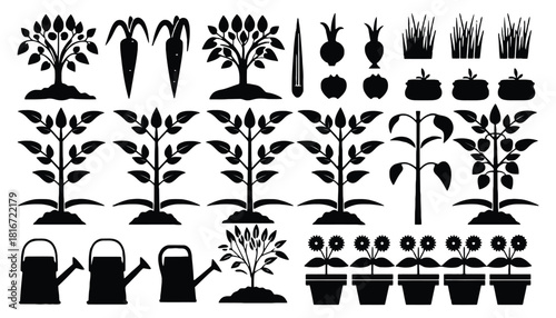 Black and white garden plants vegetables vector illustration