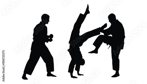 Martial arts silhouettes training karate taekwondo techniques
