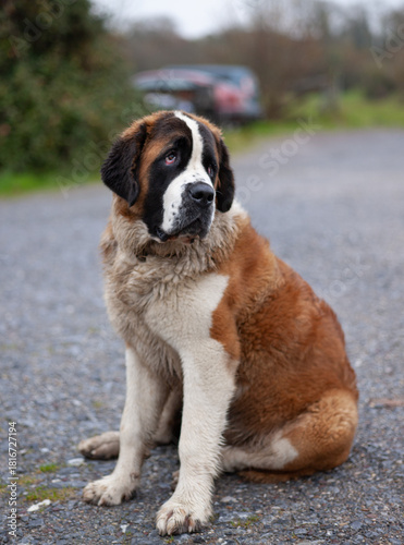 vmalisauskas@gmail.com