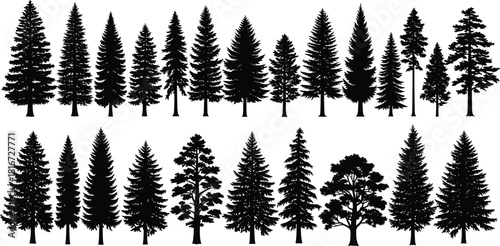 Pine tree silhouettes set, conifer forest nature collection, spruce and fir trees, black evergreen vector illustration, isolated on white background, landscape design element.