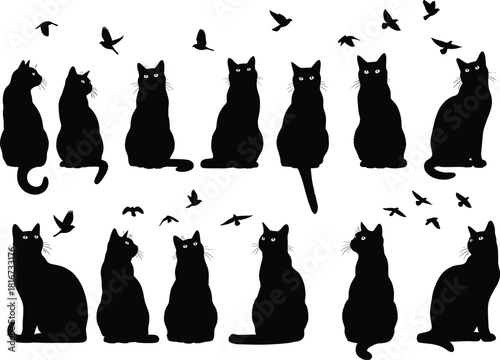 Cat and bird silhouette collection, sitting feline poses, flying birds interaction, nature curiosity scene, minimal animal composition flat vector