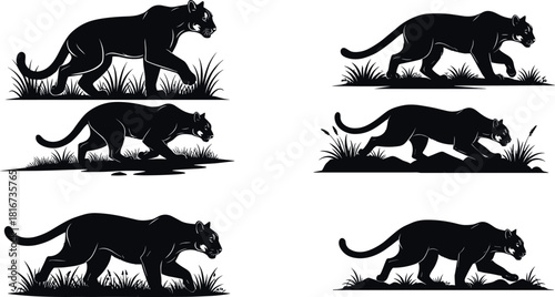 Panther silhouettes walking and stalking, stealth motion, animal gait, wildlife posture, vector sequence, jungle terrain, flavector