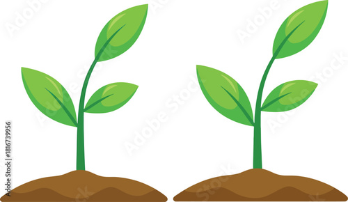 Two green seedlings growing from soil isolated on transparent background vector