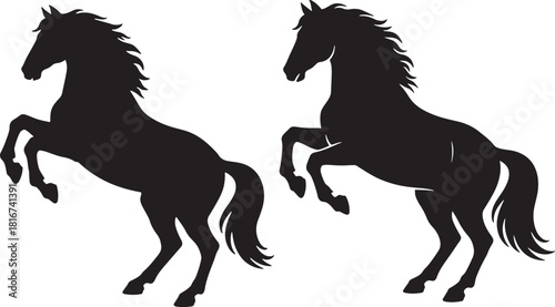 Two powerful black horse silhouettes rearing up majestically isolated on transparent background