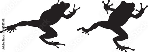 Two black frog silhouettes climbing upwards on a transparent background isolated on transparent background