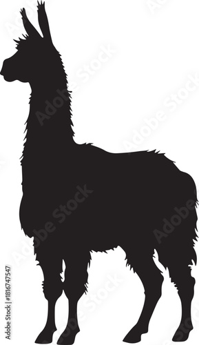 Black silhouette of a standing llama with a long neck and fluffy wool isolated on transparent background
