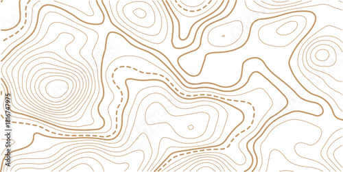 Topographic gold luxury map background. Geographic abstract pattern.Modern design with White background with topographic wavy pattern design.paper texture Imitation of a geographical map shades
