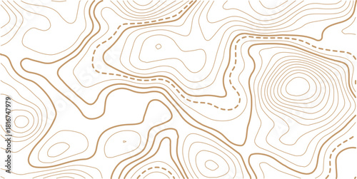 Black and white topographic map background. Topographic map lines. Monochrome topographic terrain lines with space for text.