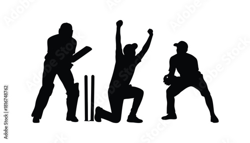 Cricket players silhouette action poses vector illustration