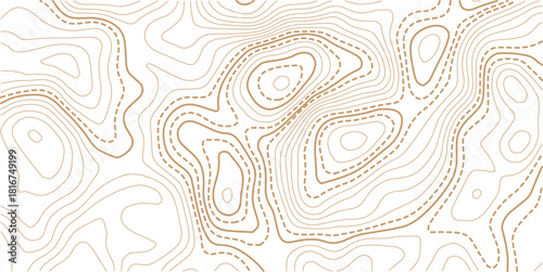 Luxury gold abstract topographic map background with golden lines texture,Mountain trail terrain or path. Vector illustration.