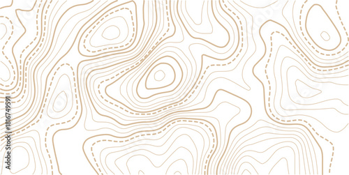 Abstract topo contour map on white background, Topographic map Topographic contour lines map seamless pattern.Topography background. Vector banner. 