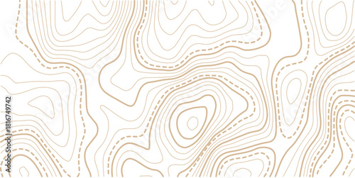 Abstract topo contour map on white background, Topographic map Topographic contour lines map seamless pattern.Topography background. Vector banner. 